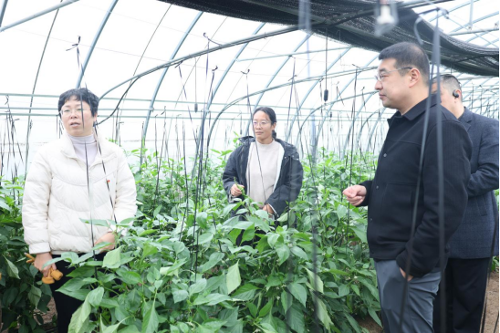 ΢ÐÅͼƬ_2025-12-15_162728_521.png JDBµç×Ó¡¤(ÖйúÇø)ÊÔÍæÆ½Ì¨-JDBµç×ÓÓÎÏ·¹ÙÍø